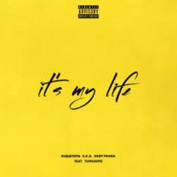 Обкладинка Эндшпиль feat. TumaniYO - It's My Life