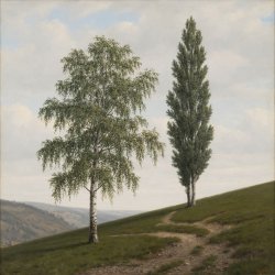 Обкладинка Сергей Видов - Берёза и тополь