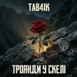 Обкладинка Tab4ik - Троянди у скелі