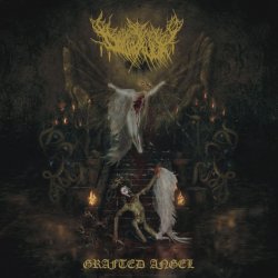 Обкладинка Dollhaver - Spitting Moths