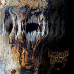 Обкладинка Harbinger's Remains - Antarctica