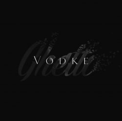 Обкладинка VodKe feat. 无 - information