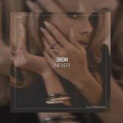 Обкладинка DNDM - Never