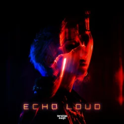 Обкладинка Twist3d Boys - Echo Loud