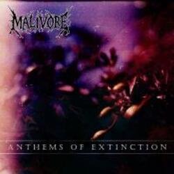 Обкладинка Malivore - Absolute