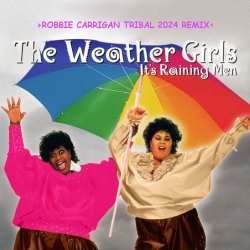 Обкладинка Weather Girls - It's Raining Men