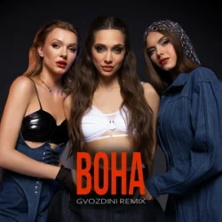 Обкладинка Mirami - Вона (Gvozdini Remix)