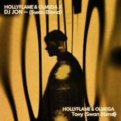 Cover HOLLYFLAME & OLMEGA X DJ JON - Тону (Swan Blend)