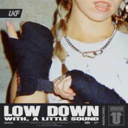 Обкладинка Rova & A Little Sound - Low Down