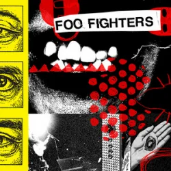 Обкладинка Foo Fighters - Window