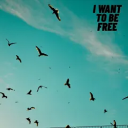 Обкладинка Roberto Pedoto - I Want To Be Free