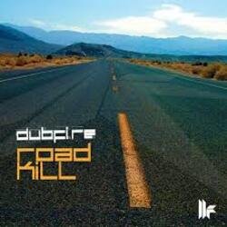 Обкладинка Dubfire - Roadkill (EDX’s Acapulco At Night Remix)