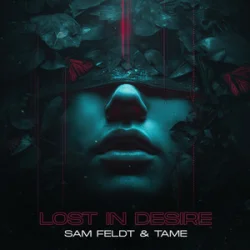 Обкладинка Sam Feldt & TAME - Lost In Desire