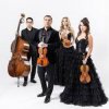 The String Quartet - Money