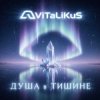 Обкладинка ViTaLiKuS - Душа в тишине ViTaLiKuS - Душа в тишине