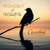 Cover ViTaLiKuS - Соловей (Remix) ViTaLiKuS - Соловей (Remix)
