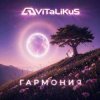 Обкладинка ViTaLiKuS - Гармония ViTaLiKuS - Гармония