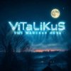 ViTaLiKuS - Ещё майская ночь