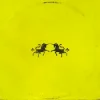Обкладинка The Chainsmokers & Oaks - Wild The Chainsmokers & Oaks - Wild