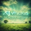 Обкладинка ViTaLiKuS - Гой ты, Русь, моя родная ViTaLiKuS - Гой ты, Русь, моя родная