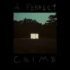 Kovacs - A Perfect Crime