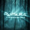 Обкладинка ViTaLiKuS - Нам легко не будет никогда ViTaLiKuS - Нам легко не будет никогда