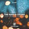 Обкладинка DJ JEDY - The Rain Is Crying DJ JEDY - The Rain Is Crying