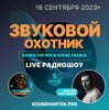 Звуковой Охотник - Радиошоу Выпуск #5