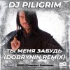 Dj Piligrim - Ты меня забудь