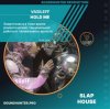 Обкладинка VasileFF - Hold Me VasileFF - Hold Me