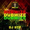 Обкладинка Dj Stp - Mek You Wine Slow Dj Stp - Mek You Wine Slow