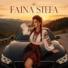 Обкладинка Faina Stefa - Крути мене у тачці! Faina Stefa - Крути мене у тачці!