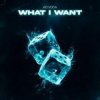 Обкладинка Ad Voca - What I Want Ad Voca - What I Want