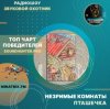 Обкладинка Незримые Комнаты - Пташечка Незримые Комнаты - Пташечка