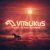 Обкладинка ViTaLiKuS - Родина. На поле Куликовом
