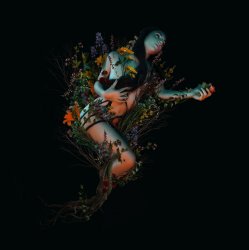 Обкладинка Roniit - Bloom