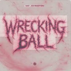 Обкладинка Nic Johnston - Wrecking Ball (Extended Mix)