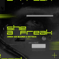 Обкладинка Armin van Buuren & Skytech - She A Freak