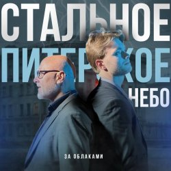 Обкладинка Стальное Питерское Небо