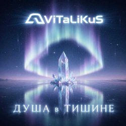 Обкладинка ViTaLiKuS - Душа в тишине