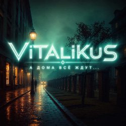 Обкладинка ViTaLiKuS - А дома всё ждут...