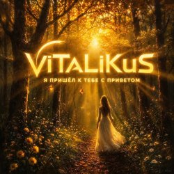 Обкладинка ViTaLiKuS - Я пришёл к тебе с приветом