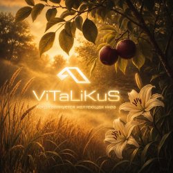Обкладинка ViTaLiKuS - Когда волнуется желтеющая нива