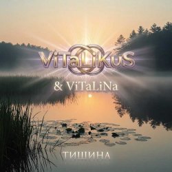 Обкладинка ViTaLiKuS - Тишина