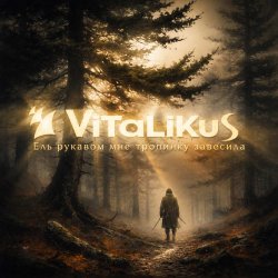 Обкладинка ViTaLiKuS - Ель рукавом мне тропинку завесила…