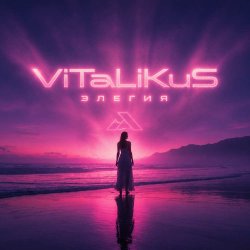 Обкладинка ViTaLiKuS - Элегия