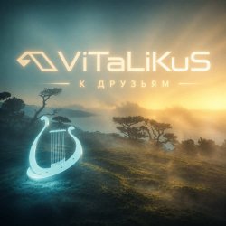 Обкладинка ViTaLiKuS - К друзьям