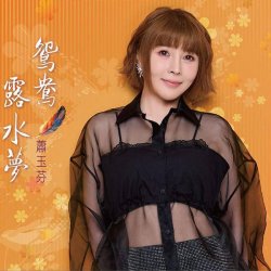 Обкладинка Xiao Yu Fen - Wu Tong Deng