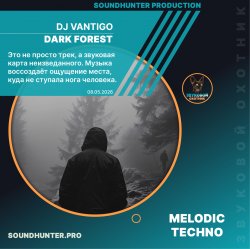 Обкладинка DJ VANTIGO - Dark Forest