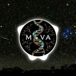 Обкладинка AI MOVA - Остання ніч